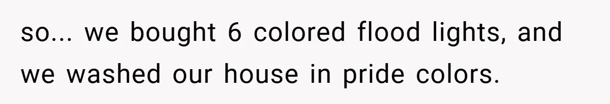 so... we bought 6 colored flood lights, and we washed our house in pride colors.