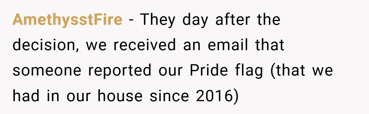 AmethysstFire − They day after the decision, we received an email that someone reported our Pride flag (that we had in our house since 2016)