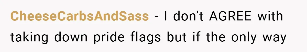 CheeseCarbsAndSass − I don’t AGREE with taking down pride flags but if the only way