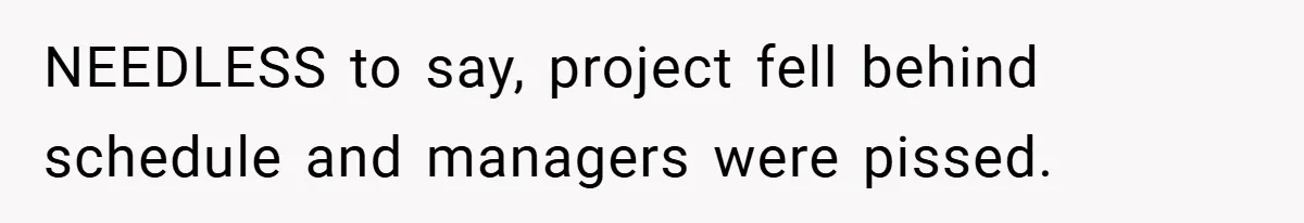NEEDLESS to say, project fell behind schedule and managers were pissed.