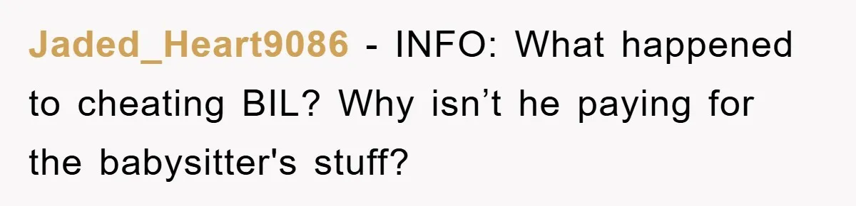 She Helped A Pregnant Cousin In Need… Until Her Husband Found Out Who The Father Was Jaded_Heart9086 − INFO: What happened to cheating BIL? Why isn’t he paying for the babysitter's stuff?