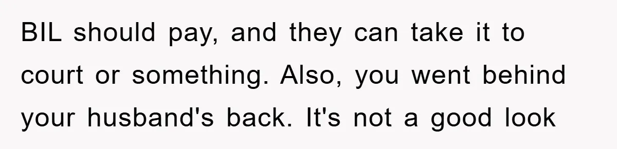 She Helped A Pregnant Cousin In Need… Until Her Husband Found Out Who The Father Was BIL should pay, and they can take it to court or something. Also, you went behind your husband's back. It's not a good look