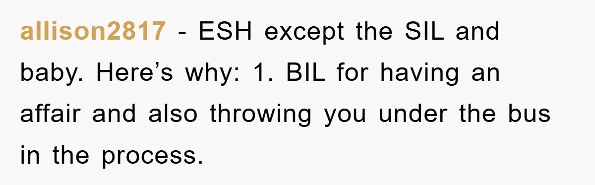 She Helped A Pregnant Cousin In Need… Until Her Husband Found Out Who The Father Was allison2817 − ESH except the SIL and baby. Here’s why: 1. BIL for having an affair and also throwing you under the bus in the process.