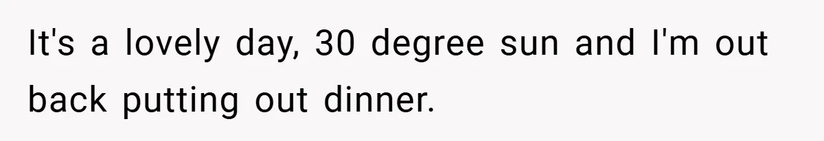 It's a lovely day, 30 degree sun and I'm out back putting out dinner.