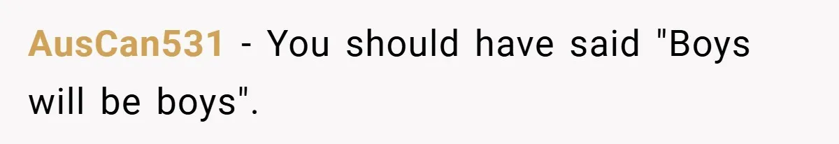 AusCan531 − You should have said "Boys will be boys".