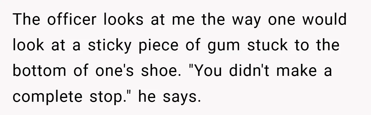 The officer looks at me the way one would look at a sticky piece of gum stuck to the bottom of one's shoe. "You didn't make a complete stop." he...