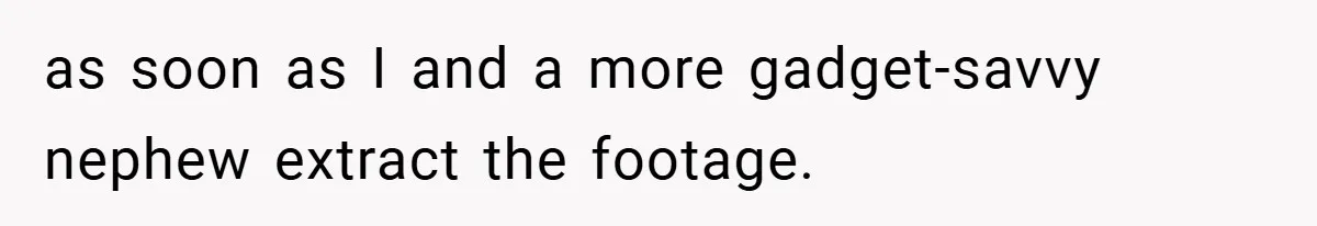 as soon as I and a more gadget-savvy nephew extract the footage.