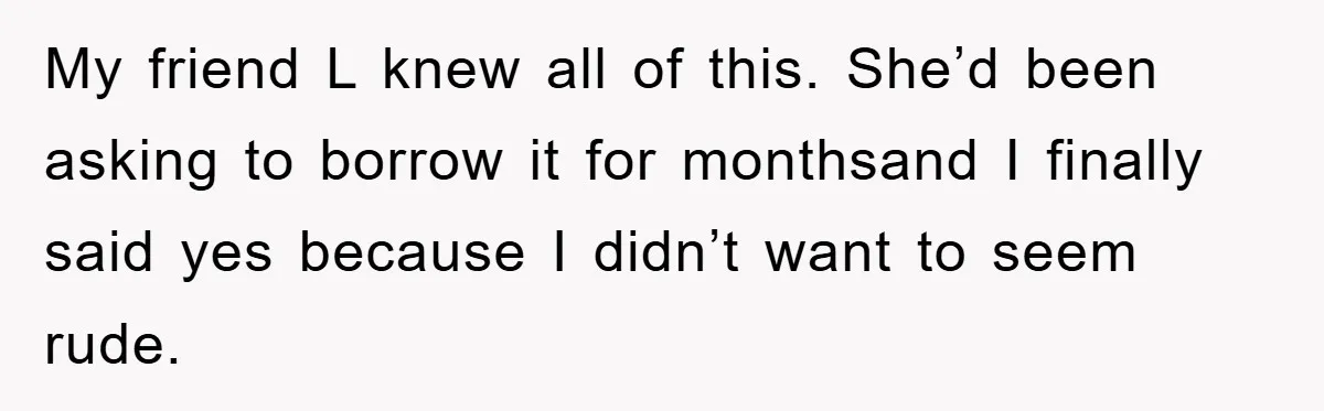 My friend L knew all of this. She’d been asking to borrow it for monthsand I finally said yes because I didn’t want to seem rude.