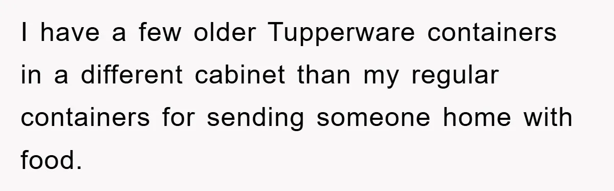 I have a few older Tupperware containers in a different cabinet than my regular containers for sending someone home with food.