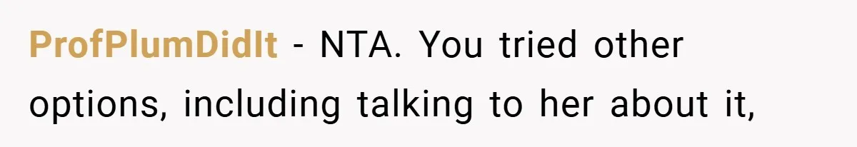 ProfPlumDidIt − NTA. You tried other options, including talking to her about it,