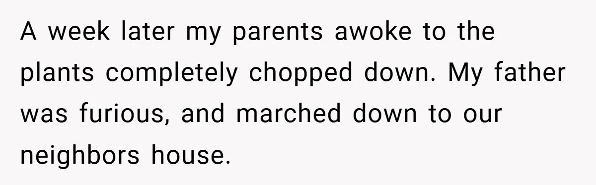 A week later my parents awoke to the plants completely chopped down. My father was furious, and marched down to our neighbors house.