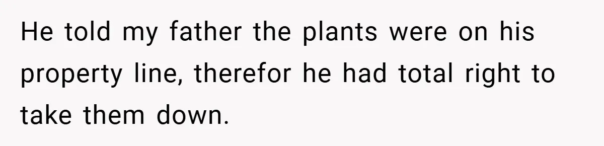 He told my father the plants were on his property line, therefor he had total right to take them down.