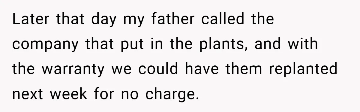Later that day my father called the company that put in the plants, and with the warranty we could have them replanted next week for no charge.