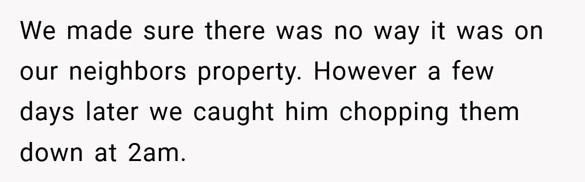We made sure there was no way it was on our neighbors property. However a few days later we caught him chopping them down at 2am.