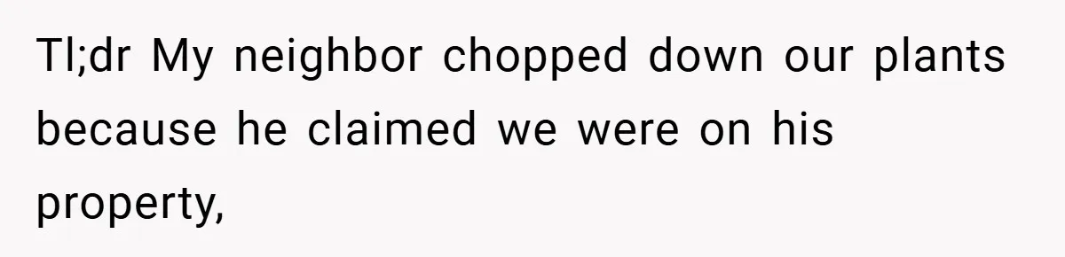 Tl;dr My neighbor chopped down our plants because he claimed we were on his property,