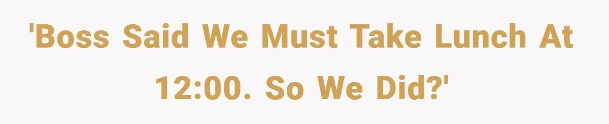 'Boss said we MUST take lunch at 12:00. So we did?'