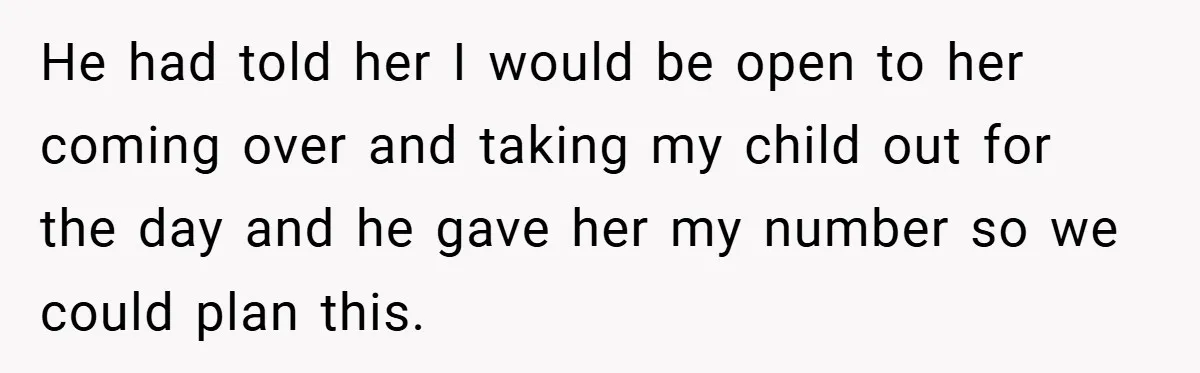 He had told her I would be open to her coming over and taking my child out for the day and he gave her my number so we could plan...