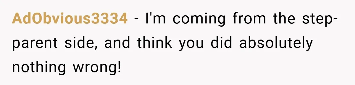 AdObvious3334 − I'm coming from the step-parent side, and think you did absolutely nothing wrong!