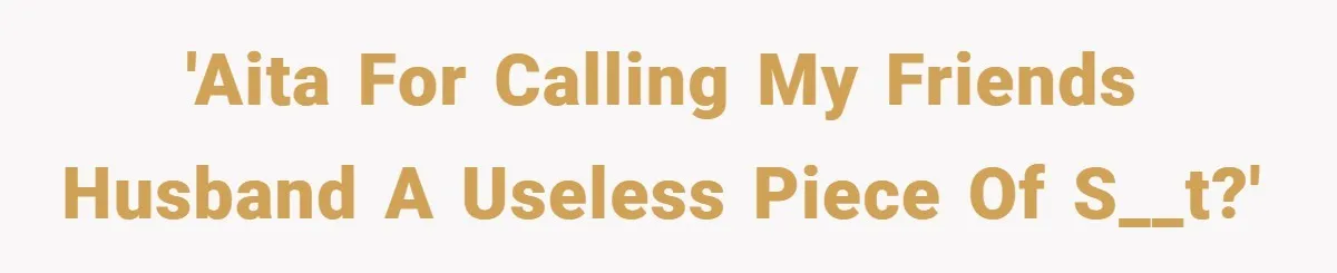 'AITA for calling my friends husband a useless piece of s__t?'