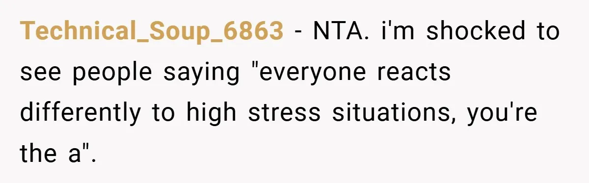 Technical_Soup_6863 − NTA. i'm shocked to see people saying "everyone reacts differently to high stress situations, you're the a".