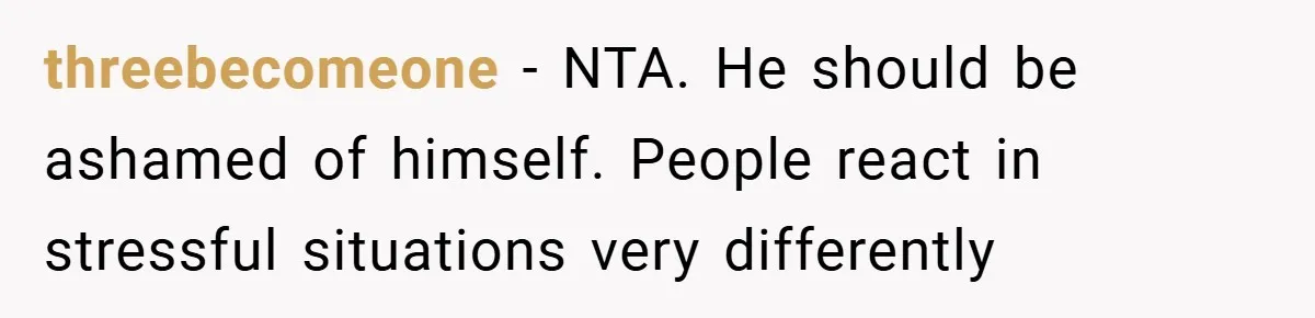 threebecomeone − NTA. He should be ashamed of himself. People react in stressful situations very differently