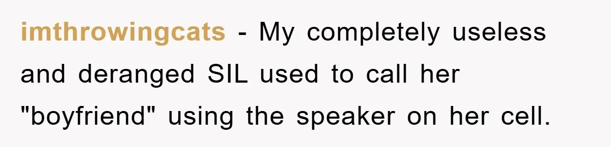 imthrowingcats − My completely useless and deranged SIL used to call her "boyfriend" using the speaker on her cell.