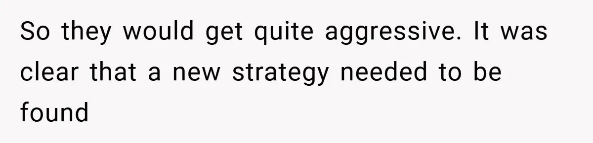 So they would get quite aggressive. It was clear that a new strategy needed to be found