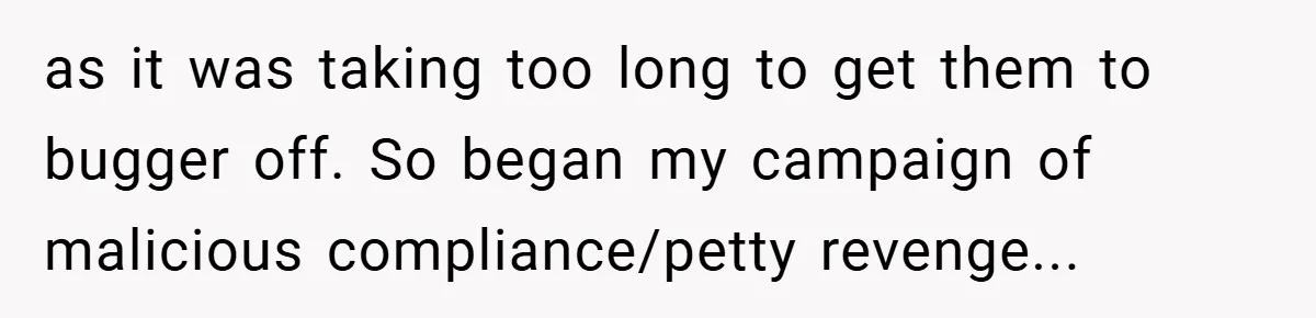 as it was taking too long to get them to bugger off. So began my campaign of malicious compliance/petty revenge...