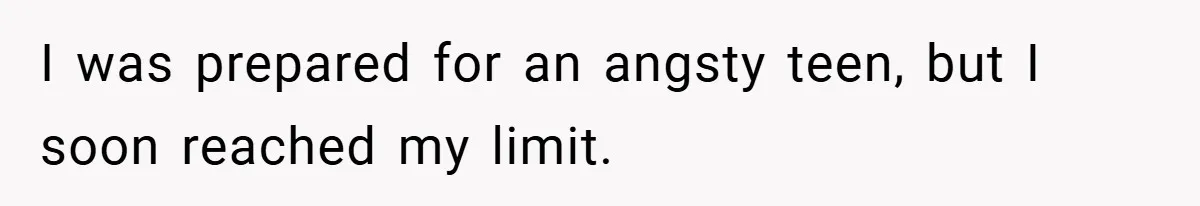 I was prepared for an angsty teen, but I soon reached my limit.