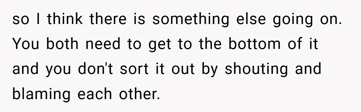 so I think there is something else going on. You both need to get to the bottom of it and you don't sort it out by shouting and blaming each...