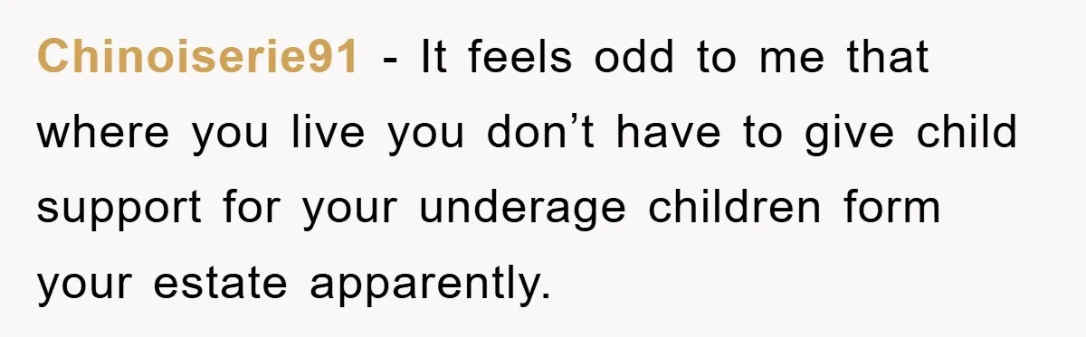 Chinoiserie91 − It feels odd to me that where you live you don’t have to give child support for your underage children form your estate apparently.