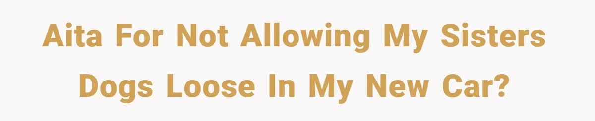 AITA for not allowing my sisters dogs loose in my new car?