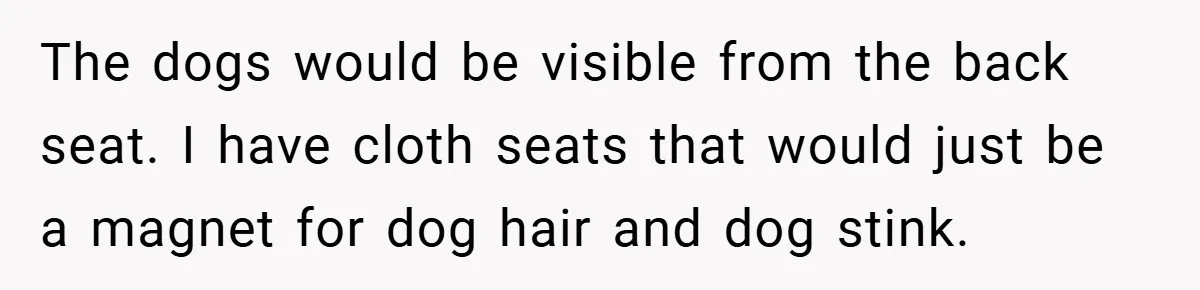 The dogs would be visible from the back seat. I have cloth seats that would just be a magnet for dog hair and dog stink.
