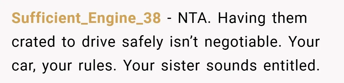 Sufficient_Engine_38 − NTA. Having them crated to drive safely isn’t negotiable. Your car, your rules. Your sister sounds entitled.