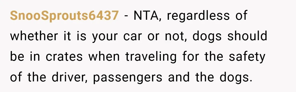 SnooSprouts6437 − NTA, regardless of whether it is your car or not, dogs should be in crates when traveling for the safety of the driver, passengers and the dogs.