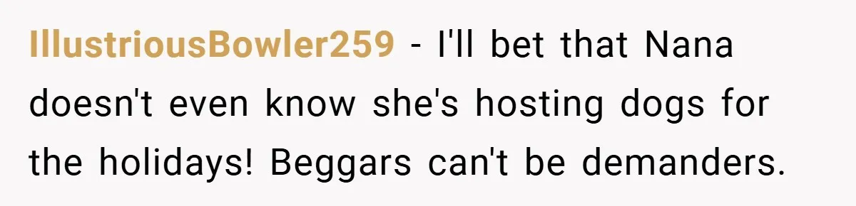 IllustriousBowler259 − I'll bet that Nana doesn't even know she's hosting dogs for the holidays! Beggars can't be demanders.