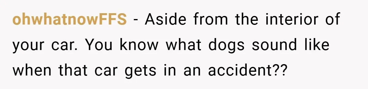 ohwhatnowFFS − Aside from the interior of your car. You know what dogs sound like when that car gets in an accident??