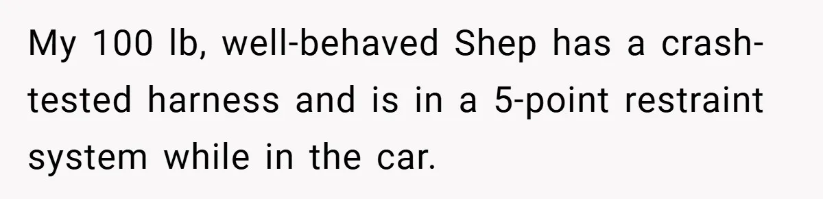 My 100 lb, well-behaved Shep has a crash-tested harness and is in a 5-point restraint system while in the car.