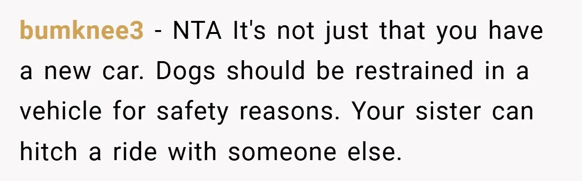 bumknee3 − NTA It's not just that you have a new car. Dogs should be restrained in a vehicle for safety reasons. Your sister can hitch a ride with someone...