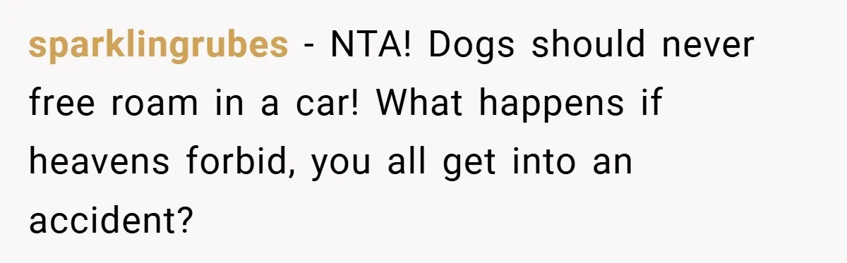 sparklingrubes − NTA! Dogs should never free roam in a car! What happens if heavens forbid, you all get into an accident?