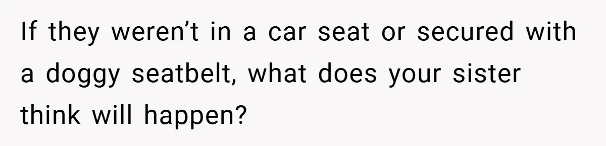 If they weren’t in a car seat or secured with a doggy seatbelt, what does your sister think will happen?