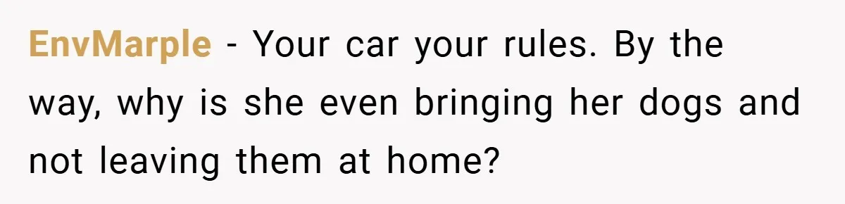 EnvMarple − Your car your rules. By the way, why is she even bringing her dogs and not leaving them at home?