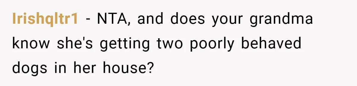 Irishqltr1 − NTA, and does your grandma know she's getting two poorly behaved dogs in her house?