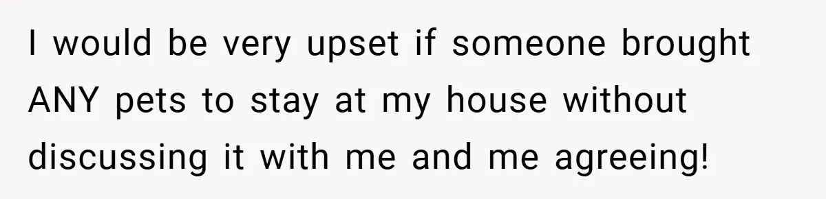 I would be very upset if someone brought ANY pets to stay at my house without discussing it with me and me agreeing!