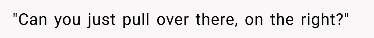 "Can you just pull over there, on the right?"