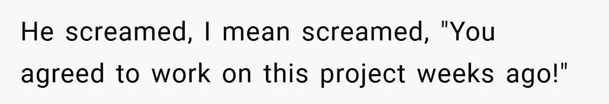He screamed, I mean screamed, "You agreed to work on this project weeks ago!"