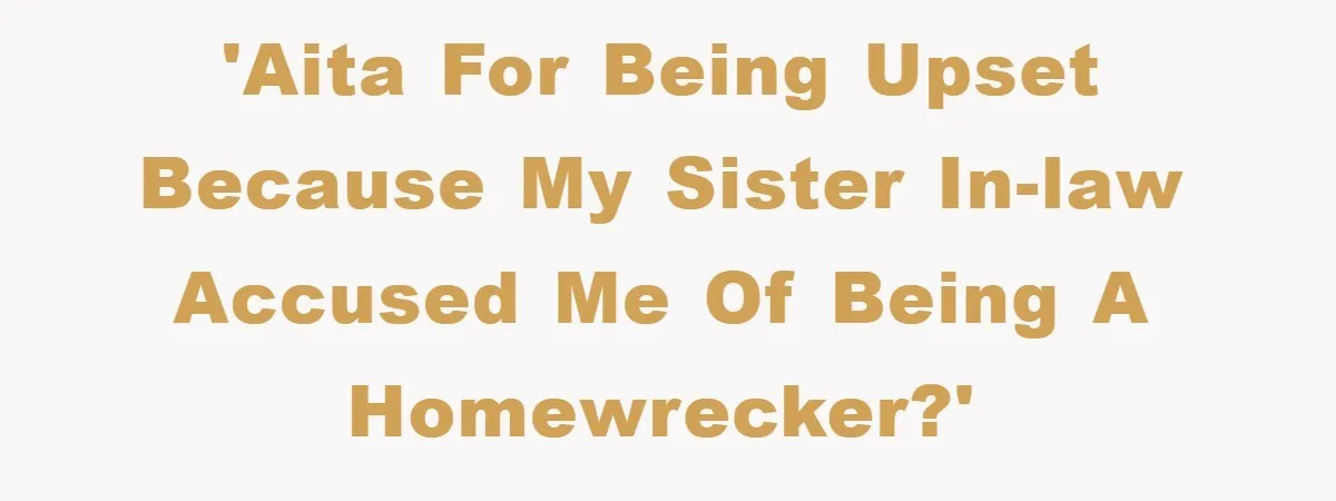 'AITA for being upset because my sister in-law accused me of being a homewrecker?'