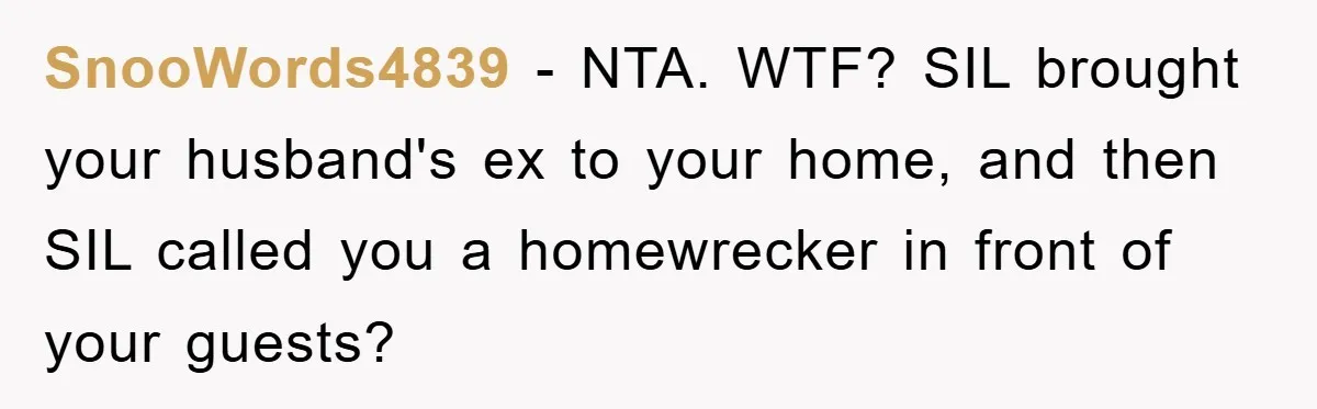SnooWords4839 − NTA. WTF? SIL brought your husband's ex to your home, and then SIL called you a homewrecker in front of your guests?