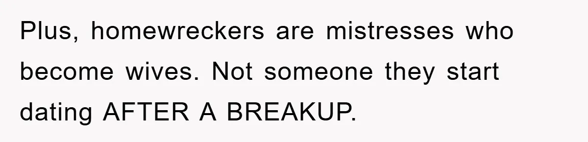 Plus, homewreckers are mistresses who become wives. Not someone they start dating AFTER A BREAKUP.