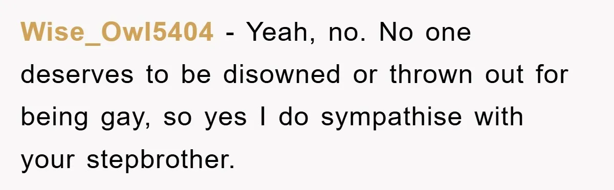 Wise_Owl5404 − Yeah, no. No one deserves to be disowned or thrown out for being gay, so yes I do sympathise with your stepbrother.